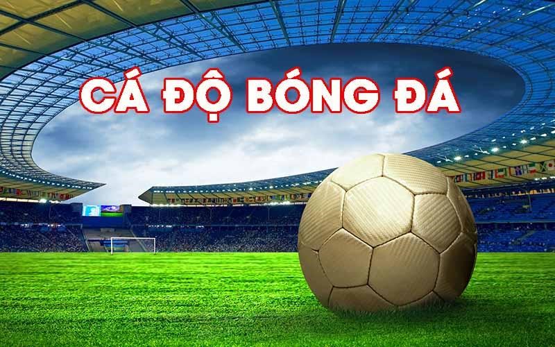 Trang cá độ bóng đá uy tín nhất 2025