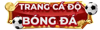 Trang cá độ bóng đá uy tín 2025
